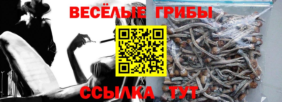 Галлюциногенные грибы GOLDEN TEACHER Бутурлиновка