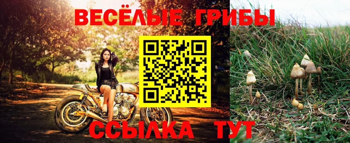 Бутурлиновка  Галлюциногенные грибы прущие грибы  Вход с VPN 